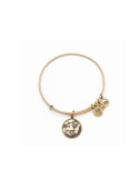 pulsera-alex-ani-sagittarius-de-material-reciclado-sin-niquel-con-acabados-dorados
