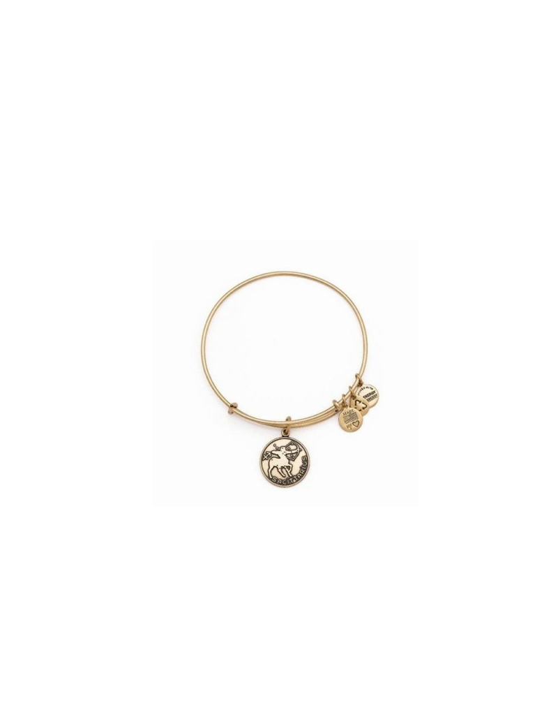 pulsera-alex-ani-sagittarius-de-material-reciclado-sin-niquel-con-acabados-dorados