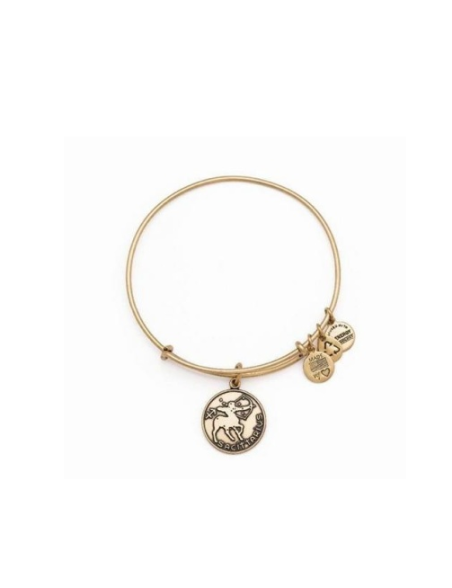 pulsera-alex-ani-letra-v-de-material-reciclado-sin-niquel-con-acabados-dorados