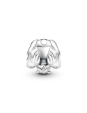 Charm-Pandora-plata-de-ley-Cenicienta