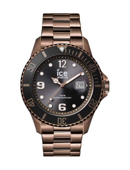 Reloj Ice Watch Ice Steel color Chocolate 44mm