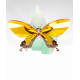 Swarovski Figura Cristal Mariposa color sol ligero 622 741