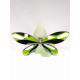 Swarovski Figura Cristal Objeto Anamosa Mariposa color musgo verde 622 739